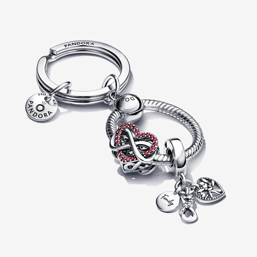 Charmes Pandora Family Infinity Keychain Multicolore | 4372-PDIQW