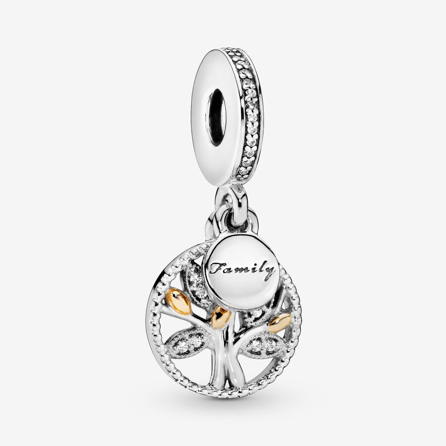 Charmes Pandora Family Means Everything Golden Keychain Multicolore | 2481-FBDMY