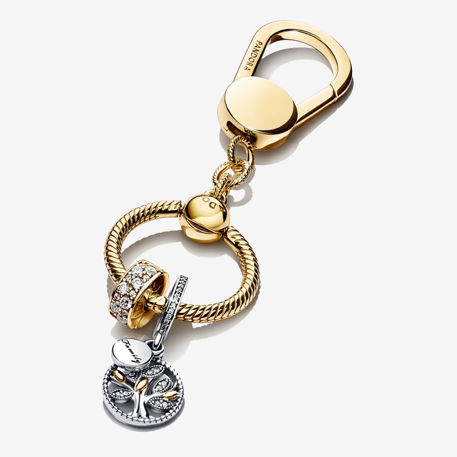 Charmes Pandora Family Means Everything Golden Keychain Multicolore | 2947-YHZJG