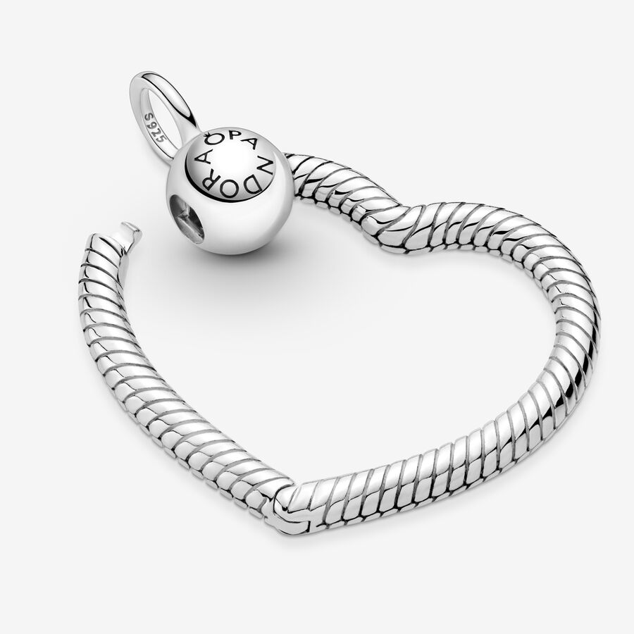 Charmes Pandora Moments Argent | 8694-FPGHM