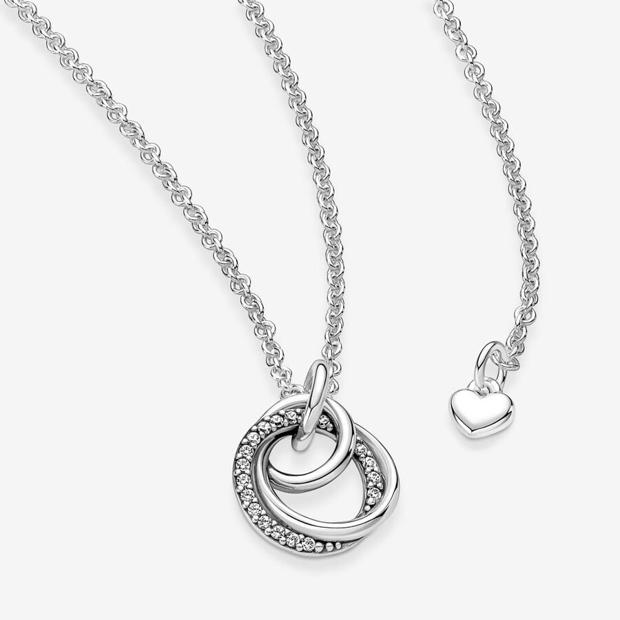 Pendentifs Pandora Family Always Encircled Argent | 9802-LOAKX