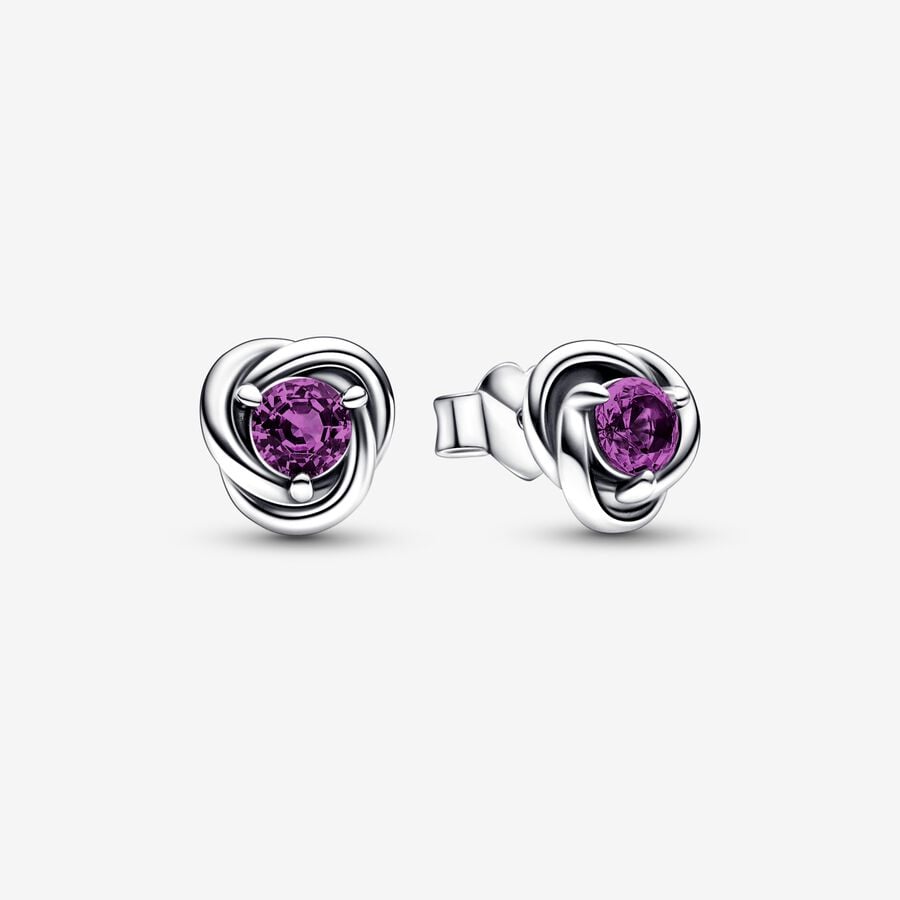 Étalon Pandora February Purple Eternity Circle Argent | 5284-XRLSN